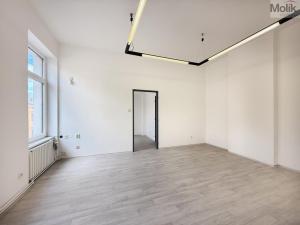 Pronájem kanceláře, Teplice - Trnovany, Československých legií, 34 m2