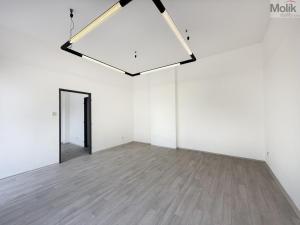Pronájem kanceláře, Teplice - Trnovany, Československých legií, 34 m2