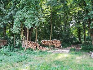 Prodej bytu 3+1, Malovice, 80 m2