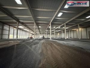 Pronájem skladu, Praha - Hostivař, K pérovně, 10000 m2
