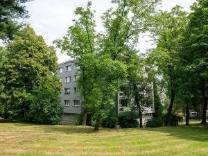 Pronájem bytu 3+1, Ostrava, Karla Pokorného, 80 m2