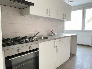 Pronájem bytu 2+1, Litvínov, Mládežnická, 69 m2