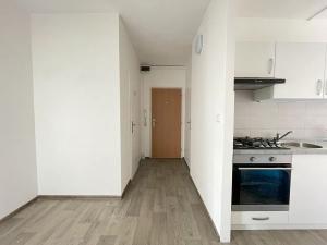Pronájem bytu 2+1, Litvínov, Mládežnická, 69 m2