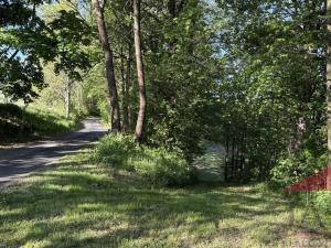Prodej louky, Sušice, 10572 m2