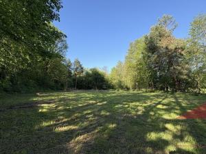 Prodej louky, Sušice, 10572 m2