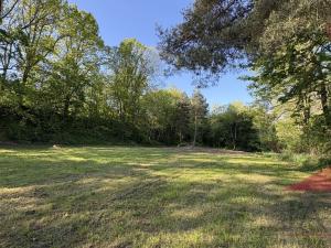 Prodej louky, Sušice, 10572 m2