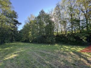 Prodej louky, Sušice, 10572 m2