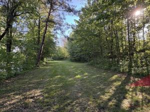 Prodej louky, Sušice, 10572 m2