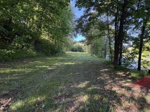 Prodej louky, Sušice, 10572 m2