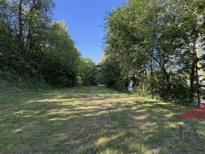 Prodej louky, Sušice, 10572 m2