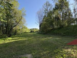 Prodej louky, Sušice, 10572 m2