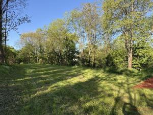 Prodej louky, Sušice, 10572 m2