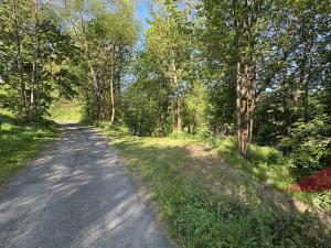 Prodej zahrady, Sušice, 10572 m2