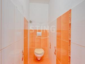 Prodej vícegeneračního domu, Mohelnice - Květín, 393 m2