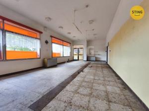 Prodej komerční nemovitosti, Vyklantice - Staré Vyklantice, 170 m2