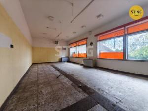 Prodej komerční nemovitosti, Vyklantice - Staré Vyklantice, 170 m2