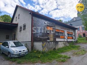 Prodej komerční nemovitosti, Vyklantice - Staré Vyklantice, 170 m2