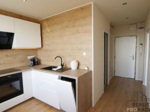 Prodej bytu 1+1, Hradec Králové, třída Edvarda Beneše, 42 m2