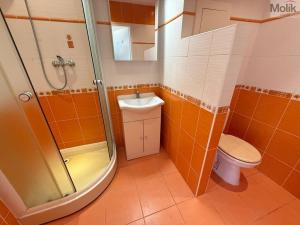 Pronájem bytu 1+1, Litvínov - Horní Litvínov, Valdštejnská, 34 m2