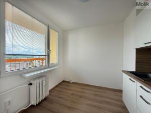 Pronájem bytu 1+1, Litvínov - Horní Litvínov, Valdštejnská, 34 m2