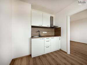 Pronájem bytu 1+1, Litvínov - Horní Litvínov, Valdštejnská, 34 m2