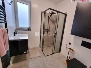 Pronájem rodinného domu, Velká Hleďsebe, K Malé Hleďsebi, 160 m2