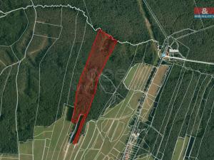 Prodej lesa, Suchdol nad Lužnicí - Klikov, 22334 m2