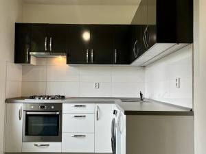 Pronájem bytu 2+1, Ostrava - Poruba, Opavská, 55 m2