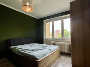 Pronájem bytu 2+1, Ostrava - Poruba, Opavská, 55 m2