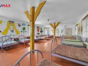 Prodej ubytování, Vysoká Srbská, 900 m2