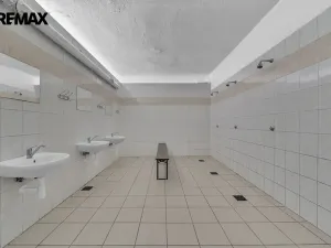 Prodej ubytování, Vysoká Srbská, 900 m2