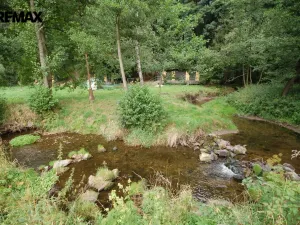 Prodej ubytování, Vysoká Srbská, 900 m2