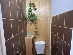 Pronájem bytu 3+1, Jihlava, Kollárova, 55 m2