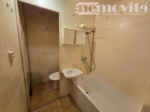 Prodej bytu 1+kk, Chomutov, Seifertova, 20 m2