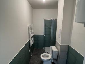 Prodej bytu 2+kk, Ostrava - Přívoz, Palackého, 55 m2