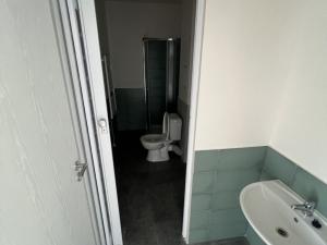 Prodej bytu 2+kk, Ostrava - Přívoz, Palackého, 55 m2