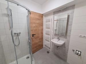 Pronájem bytu 1+kk, Srubec, Do Mladého, 26 m2