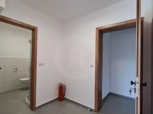 Pronájem bytu 1+kk, Srubec, Do Mladého, 26 m2