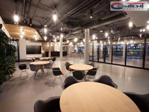 Pronájem skladu, Brno - Slatina, Tuřanka, 5000 m2