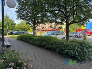 Pronájem bytu 1+kk, Letohrad, Hausenská, 39 m2