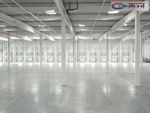 Pronájem výrobních prostor, Ostrava - Vítkovice, Halasova, 5195 m2
