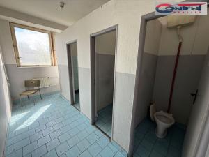 Prodej výrobních prostor, Jablonec nad Nisou - Mšeno nad Nisou, Vedlejší, 8651 m2