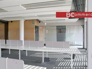 Pronájem kanceláře, Brno, 600 m2