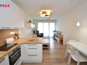 Pronájem bytu 2+kk, Olomouc, Aloise Rašína, 68 m2
