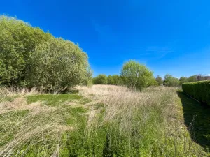 Prodej pozemku pro bydlení, Hladké Životice, Fulnecká, 22000 m2