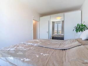 Pronájem bytu 2+kk, Plzeň, Stehlíkova, 73 m2