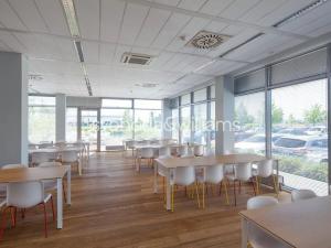 Pronájem výrobních prostor, Ostrava, Na Rovince, 11383 m2