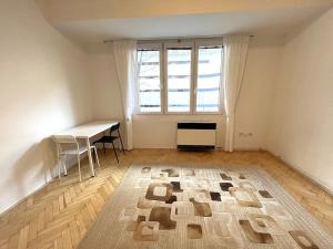 Pronájem bytu 1+kk, Brno, Antonínská, 25 m2