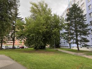 Prodej bytu 3+1, Studénka - Butovice, A. Dvořáka, 68 m2