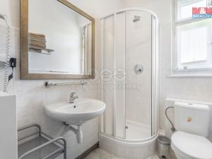 Prodej ubytování, Velké Hamry, 550 m2